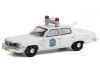 Cochesdemetal.es 1974 AMC Matador Milwaukee Police Wisconsin Police "Hot Pursuit Series 36" 1:64 Greenlight 42930A