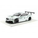 Cochesdemetal.es 2012 Bentley Continental GT3 Concept Car Paris 1:18 Vrai Scale TSM131804R
