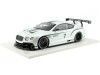 Cochesdemetal.es 2012 Bentley Continental GT3 Concept Car Paris 1:18 Vrai Scale TSM131804R