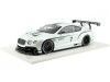 Cochesdemetal.es 2012 Bentley Continental GT3 Concept Car Paris 1:18 True Scale TSM131804R