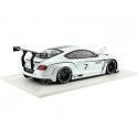 Cochesdemetal.es 2012 Bentley Continental GT3 Concept Car Paris 1:18 Vrai Scale TSM131804R