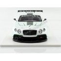 Cochesdemetal.es 2012 Bentley Continental GT3 Concept Car Paris 1:18 Vrai Scale TSM131804R