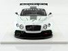 Cochesdemetal.es 2012 Bentley Continental GT3 Concept Car Paris 1:18 Vrai Scale TSM131804R