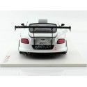 Cochesdemetal.es 2012 Bentley Continental GT3 Concept Car Paris 1:18 Vrai Scale TSM131804R