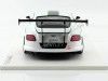 Cochesdemetal.es 2012 Bentley Continental GT3 Concept Car Paris 1:18 Vrai Scale TSM131804R