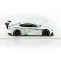 Cochesdemetal.es 2012 Bentley Continental GT3 Concept Car Paris 1:18 Vrai Scale TSM131804R