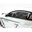 Cochesdemetal.es 2012 Bentley Continental GT3 Concept Car Paris 1:18 Vrai Scale TSM131804R