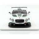 Cochesdemetal.es 2013 Bentley Continental GT3 Goodwood Festival Velocidad 1:18 Vrai Scale TSM141829R