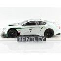 Cochesdemetal.es 2013 Bentley Continental GT3 Goodwood Festival Velocidad 1:18 True Scale TSM141829R
