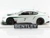 Cochesdemetal.es 2013 Bentley Continental GT3 Goodwood Festival Velocidad 1:18 Vrai Scale TSM141829R