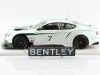 Cochesdemetal.es 2013 Bentley Continental GT3 Goodwood Festival Velocidad 1:18 True Scale TSM141829R