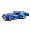 Cochesdemetal.es 1974 Ford Gran Torino Sport 2 portes Hardtop "GL Muscle Series 26" 1:64 Greenlight 13310b