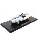 Walters / Spear 24h Lemans 1:18 CMR