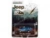 Cochesdemetal.es 1991 Jeep Cherokee "Anniversary Collection Series 14" 1:64 Greenlight 28100D