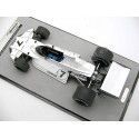 Cochesdemetal.es 1974 Brabham BT44 Nº7 Carlos Reuteman Ganador GP F1 Estados Unidos 1:18 Tecnomodel TM18-274A