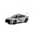 Cochesdemetal.es 2019 Dodge Charger Nevada Highway Patrol "Hot Pursuit series 41" 1:64 Greenlight 42990D