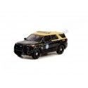 Cochesdemetal.es 2021 Ford Interceptor Utility Florida Highway Patrol "Hot Pursuit series 41" 1:64 Greenlight 42990F