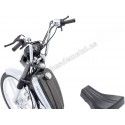 Anthracite gris 1:10 50cc légendes