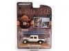 Cochesdemetal.es 2021 Jeep Gladiator Con Canoa "Smokey Bear Series 2" 1:64 Greenlight 38040F