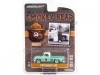 Cochesdemetal.es 1965 Dodge D-100 "Smokey Bear Series 1" 1:64 Greenlight 38020B