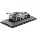 Cochesdememetal.es 2017 Mercedes-Benz AMG GT3 (C190) "50 ans AMG" Gris Mate 1:43 Édition de concessionnaire B6