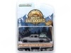 Cochesdemetal.es 2021 Jeep Gladiator High Altitude "The Great Outdoors Series 2" Gris Metalizado 1:64 Greenlight 38030E