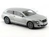 Cochesdemetal.es 2010 Bentley Continental Flying Star by Touring Gris 1:18 BoS-Models 059