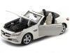 Cochesdemetal.es 2011 Mercedes-Benz Slk-Class R172 Roadster Blanco 1:24 Food 31206