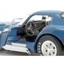 Bleu 1:18 CMR1