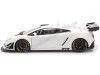 Carsdemetal.es 2013 Lamborghini Gallardo GT3 FL2 Branco 1:18 Selfart 81358