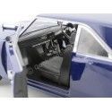 Cochesdemetal.es 1969 Chrysler Valiant VF "The Wog Boy" 1:18 Greenlight 18005 / DDA005