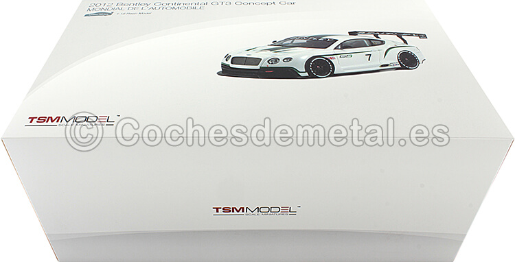 2012 Bentley Continental GT3 Concept Car Paris 1:18 True Scale TSM131804R
